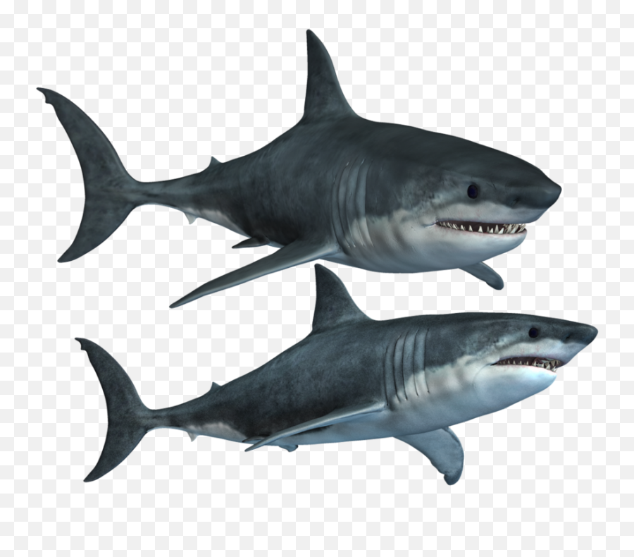 Clipart Baseball Shark Clipart Baseball Shark Transparent - Png Transparent Shark Png Emoji,San Jose Sharks Emoji