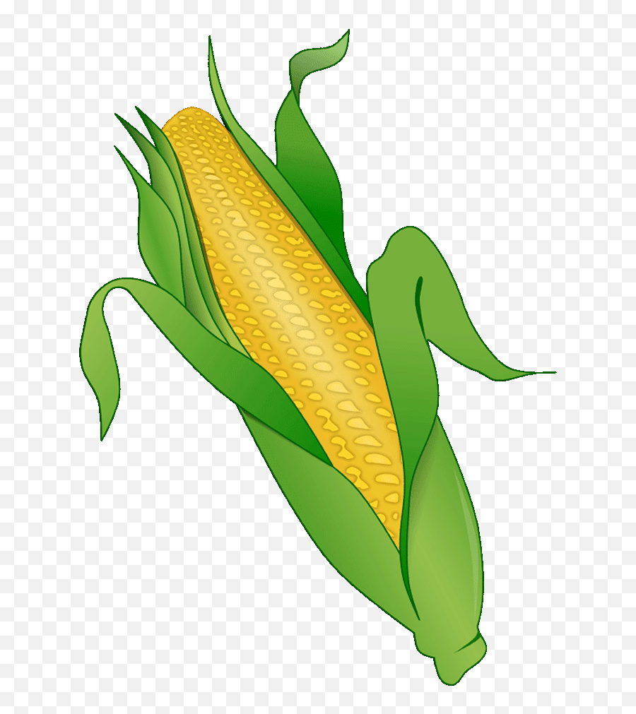Corn Clipart Fruit Vegetable Corn Fruit Vegetable - Maize Emoji,Corn Emoji