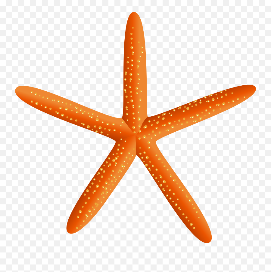 Download Hd Starfish Silhouette Png Transparent Png Image Emoji,Starfish Emoticon For Facebook