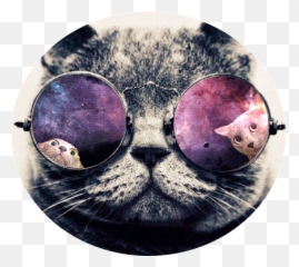 Cat Gifs - Cat Emoji,The Walking Dead Gif Emoticons