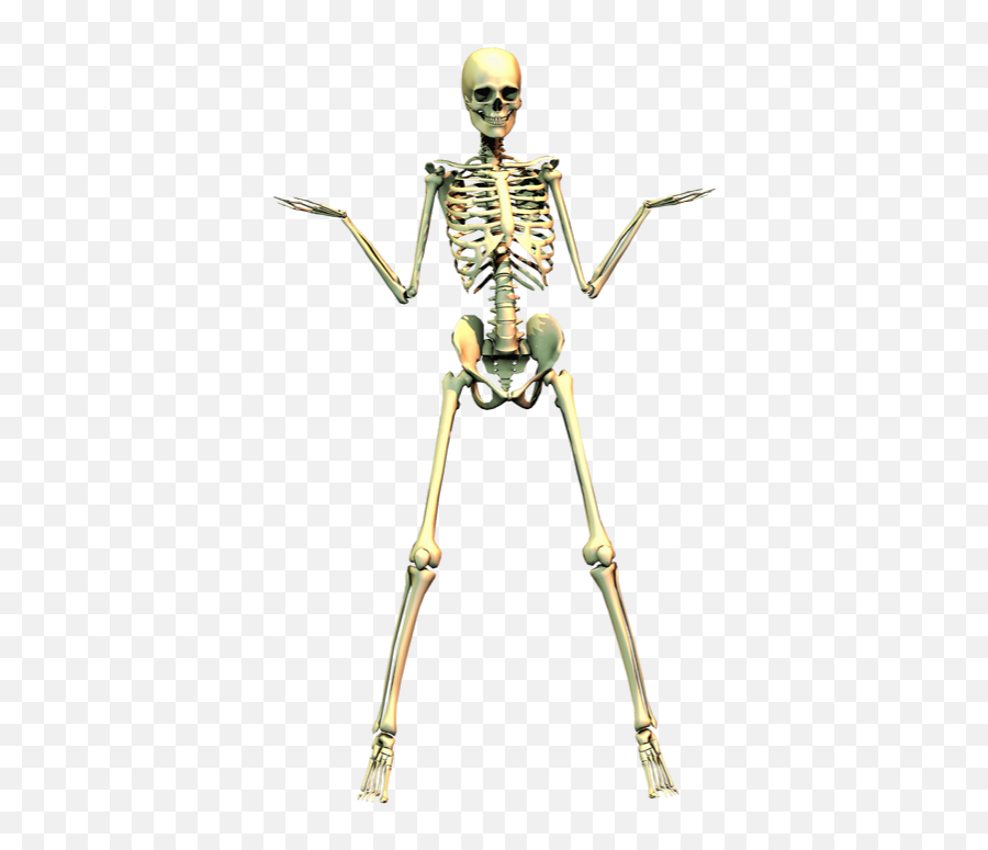 Skeleton - Nofucks Hexbear Emoji,Walking And Skeleton Emoji