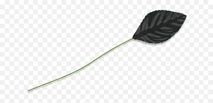 2 14 Inch Classic Black Corsage Leaves - 100 Per Package Emoji,Imagea Of Flower Emojis