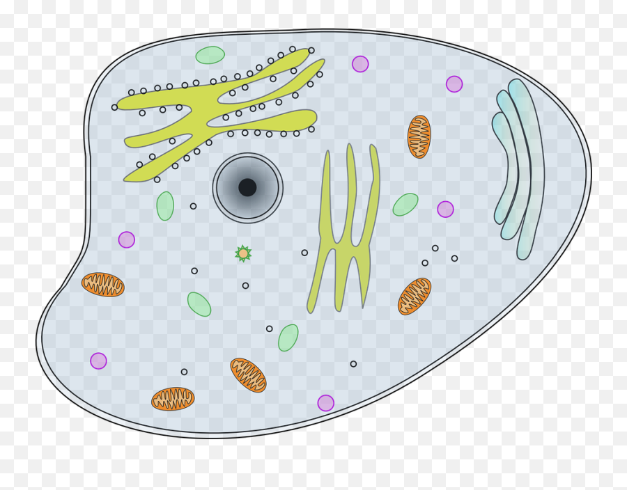 Parts Of A Cell - How To Discuss Emoji,What Is Botox Using Emojis