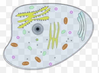 Parts Of A Cell - How To Discuss Emoji,What Is Botox Using Emojis