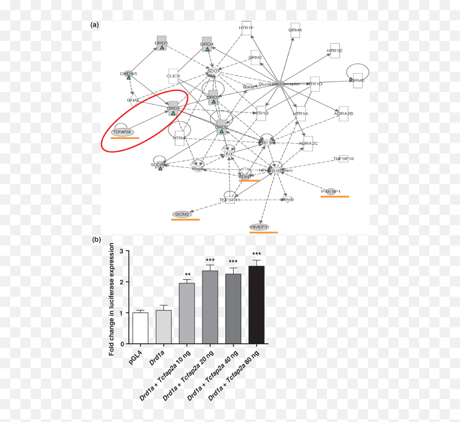 Resolution Mapping Of A Novel Genetic - Dot Emoji,Tim Webb Emotion Regulation