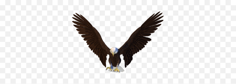 Png Images Eagle - Flying Eagle From The Front Emoji,The Emotions Of Eagles