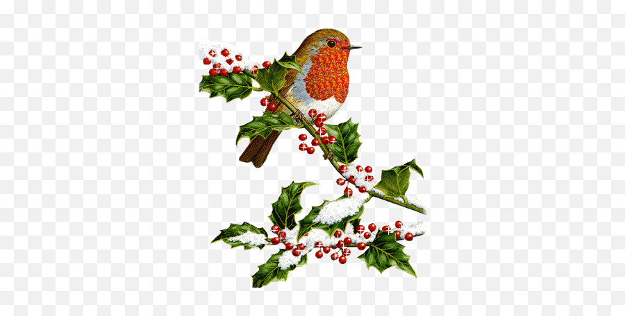 Pettirosso - Christmas Bird On Branch Clipart Emoji,Ww2 Emoticon Gif
