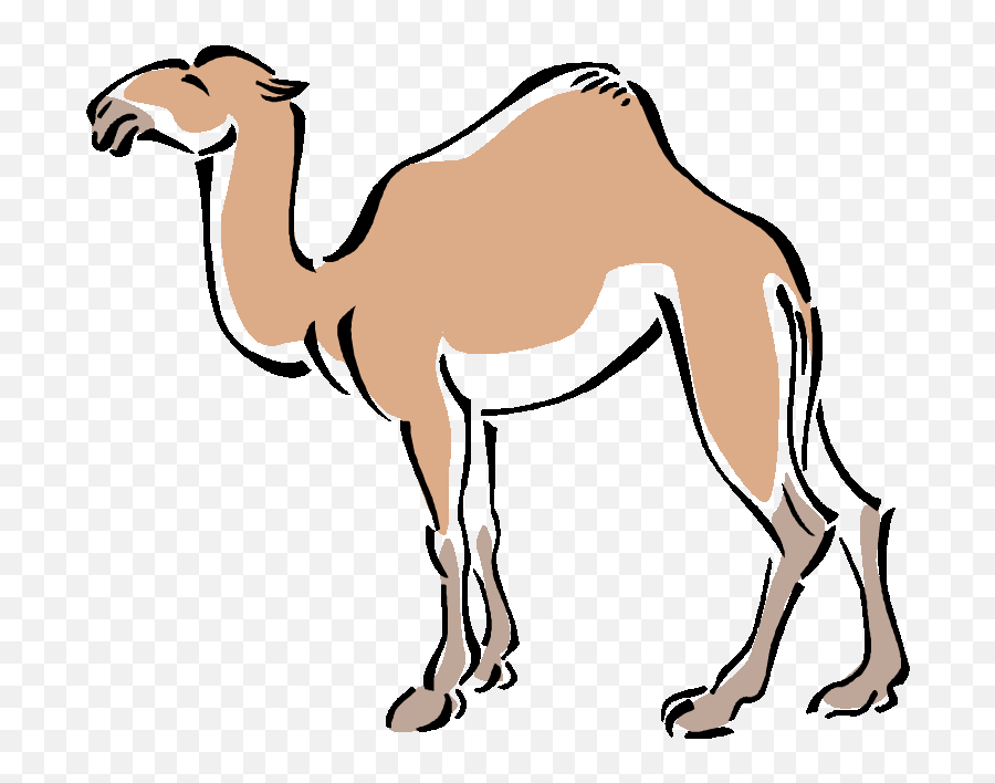 Man Riding Camel Gif - Clipart Camel Emoji,Camel Ride Emoticon
