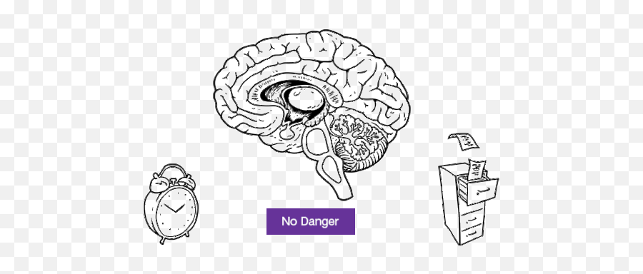 Chapter 1 Trauma U0026 The Architecture Of The Brain - Language Emoji,Logic Brain Emotion Brain Kids