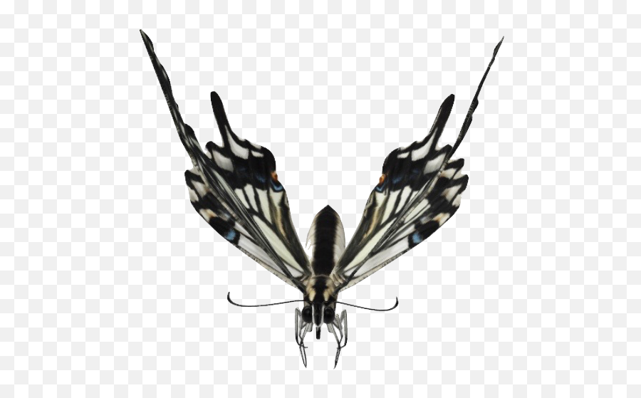 Google 3d Animals U0026 Ar Objects Full List U0026 Gallery - Butterfly 3d Google Emoji,L Black Swallowtail Butterfly!! Smile Emoticon