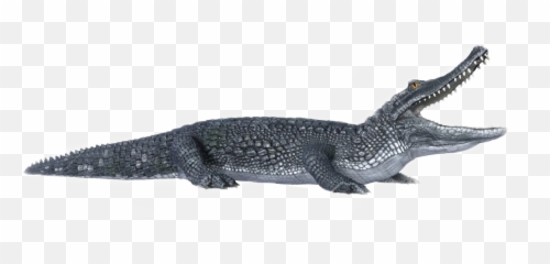 Cocodrilo Sticker - Caiman Con Fondo Blanco Emoji,Android Alligator Emoji