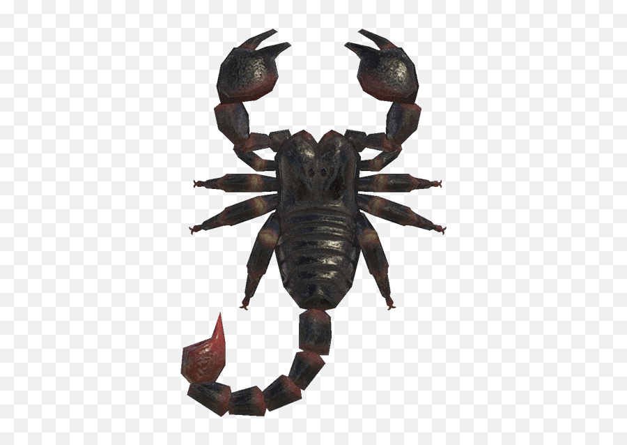 Animal Crossing Tarantula Png The Tarantula Spider Only - Scorpion Nookipedia Emoji,Animal Crossing Villager Emoticon