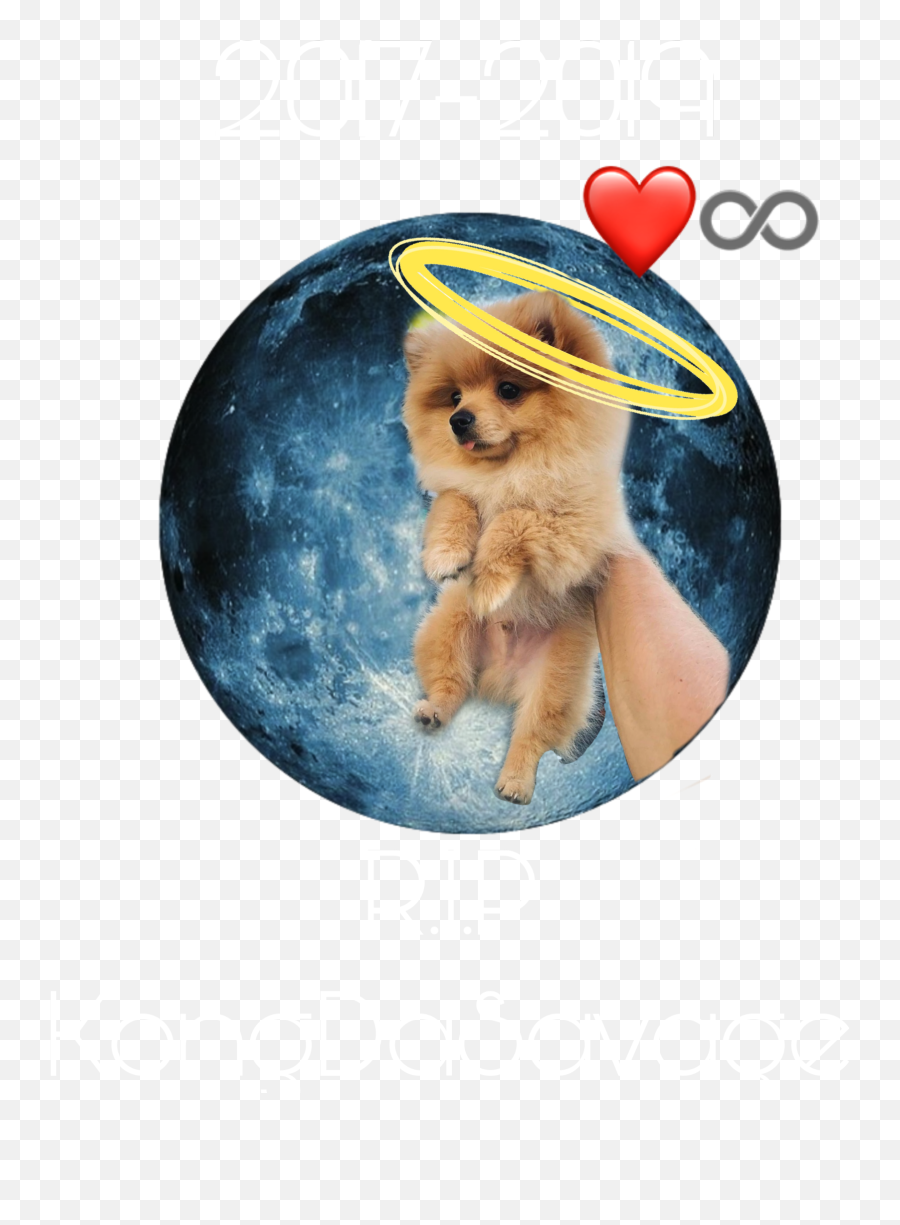 The Most Edited Kongdasavage Picsart - Northern Breed Group Emoji,Discord Camie Emojis