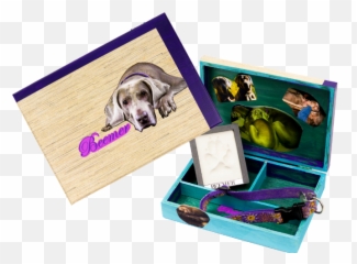 Kids Dealing With Pet Loss The Grief - Dog Supply Emoji,Heartfelt Emotions Lost Your Dog Images