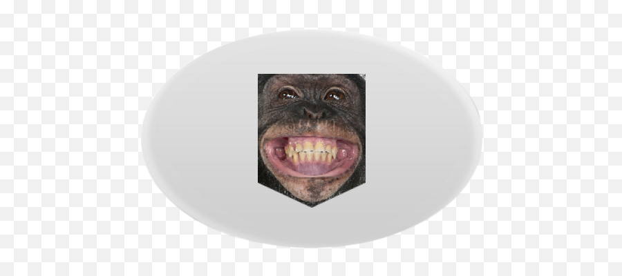 Chimp Head Custom Oval Magnet With Photo Printing Emoji,Transparent Chimpanzee Emoticon
