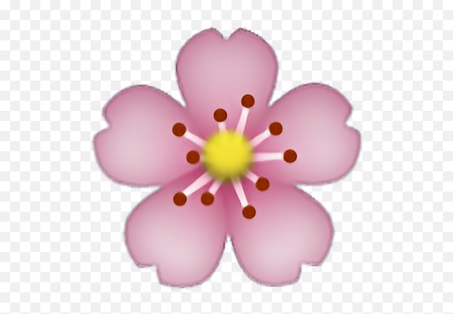 Iphone Flower Emoji Transparent Background - Novocomtop,Plant Emoji