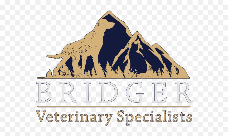 Hospital Tour Bridger Veterinary Specialists - Bridger Veterinary Specialists Emoji,Tomografo Siemens Somatom Emotion 16