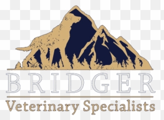 Hospital Tour Bridger Veterinary Specialists - Bridger Veterinary Specialists Emoji,Tomografo Siemens Somatom Emotion 16