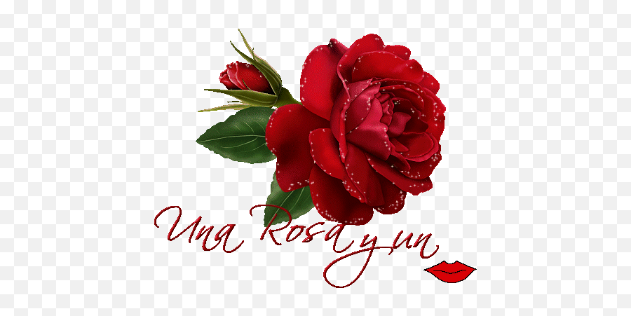Rosas Para Mi Facebook - Rosas Rojas Y Un Beso Emoji,Emoticon De Apenado