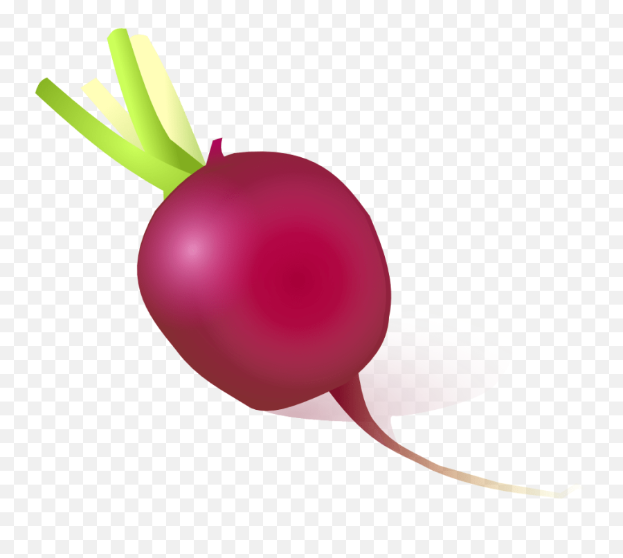 Vegetable Daikon Onion Eating Turnip - Cartoon Radish Emoji,Radish Emoji