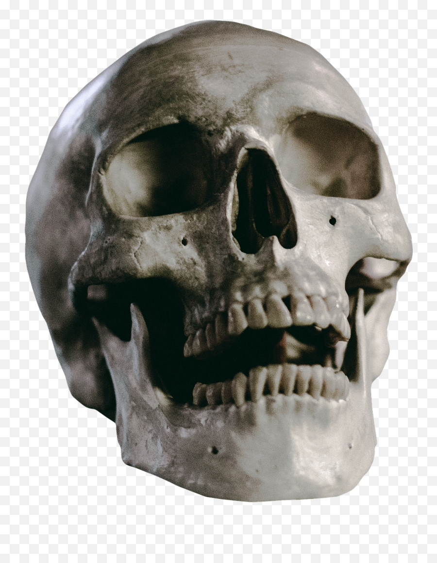 Skull Caveira Crânio Sticker - Skeleton Head Png Emoji,Caveira Emoji