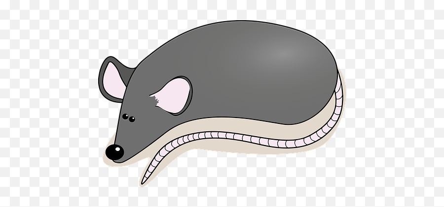 30 Free Mice U0026 Rat Vectors - Pixabay Marsupial Emoji,Gerbil Tail Emotions