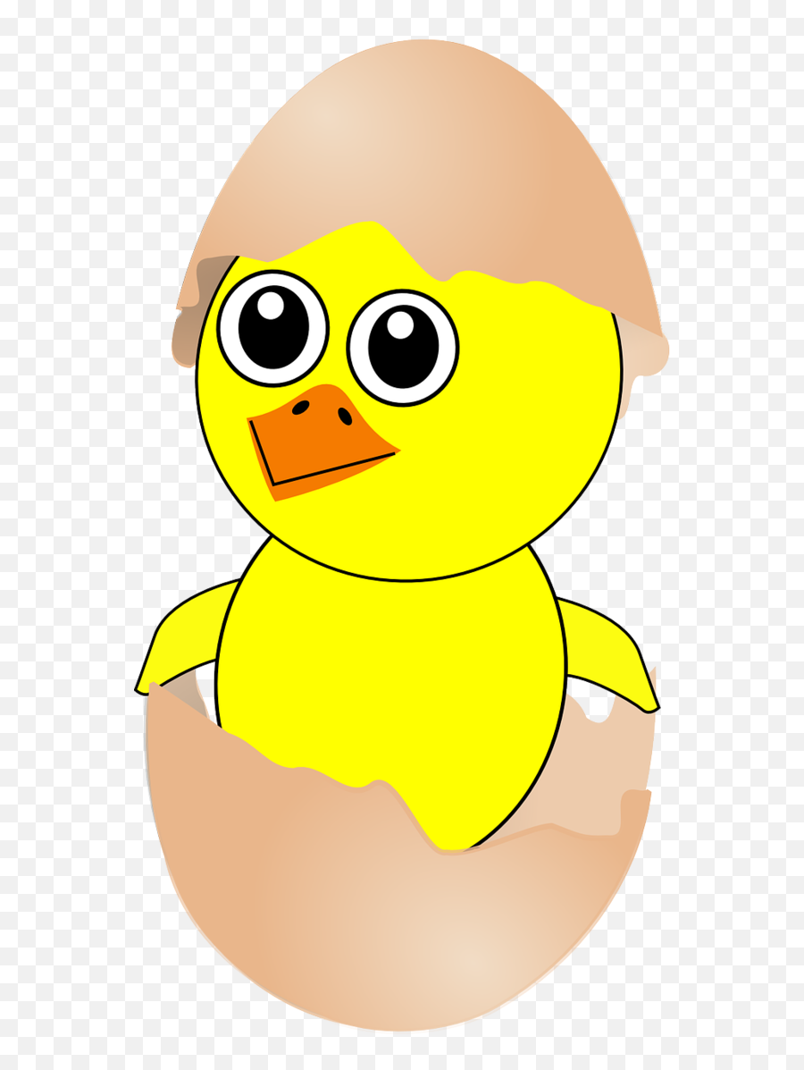 Chicken Cartoon Easter Emoticon Water Bird For Easter - 688x1280 Dot Emoji,Free Happy Easter Emoticon