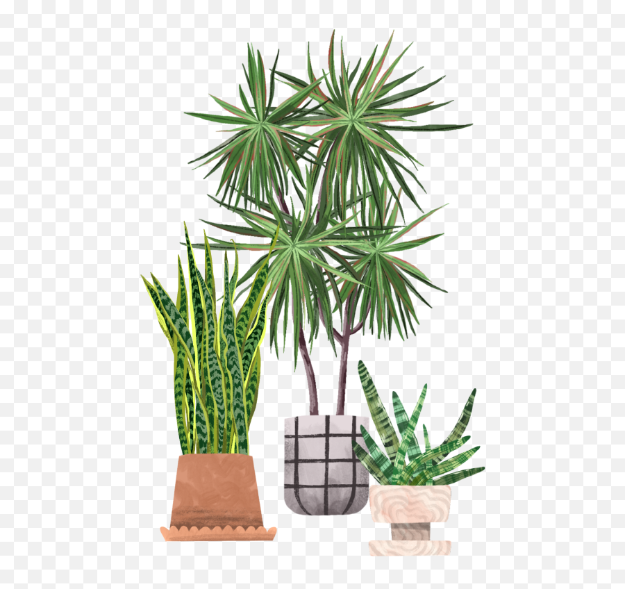 Snake Plant Plant Care Guide - Vertical Emoji,Snake Emoji Front View