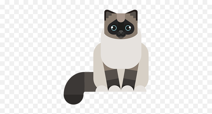 Alle Katteraser Anicura Norge - Cat Emoji,Emoji Orans