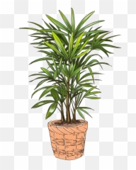 Lady Palm Emoji,Palm Tree Youtube Emoji