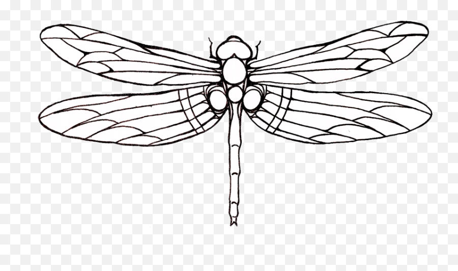 Dragonfly Tattoos Png Hq Png Image - Dragonfly Outline Emoji,Dragonfly Emoji