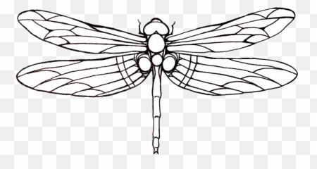 Dragonfly Tattoos Png Hq Png Image - Dragonfly Outline Emoji,Dragonfly Emoji