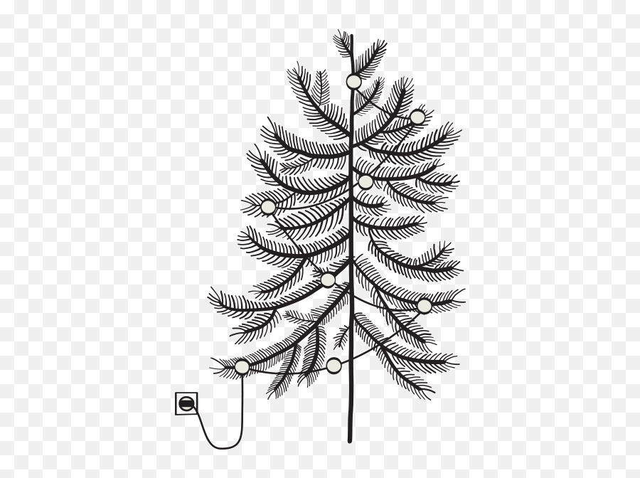 A Holiday Thought Disconnect To Connect - Boreal Conifer Emoji,The Emotions Black Christmas