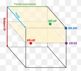A Fine - Grained Facial Expression Database For Endtoend Horizontal Emoji,Facial Expression Emotion Chart
