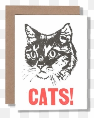 Cats Rubber Stamp Kit - Powerandlightpress Black Cat Head Emoji,Emoji Stamp Set