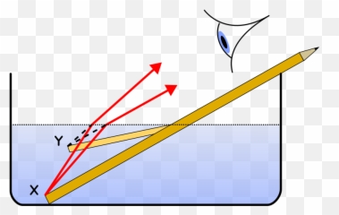 Ib Tok Essay Tutor - Pencil In Water Refraction Rays Emoji,The Ethics And Emotion Tok