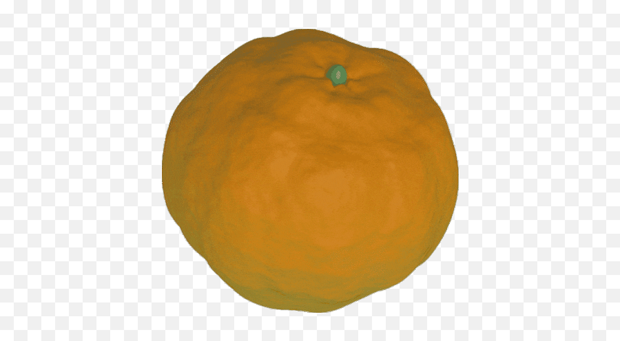 Top Orange Fruit Stickers For Android U0026 Ios Gfycat - Orange Transparent Gif Emoji,Orange Fruit Emoticon