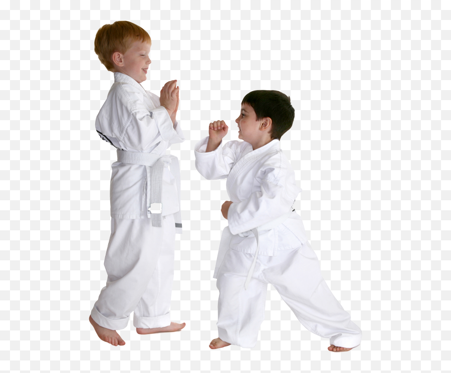 Preschool Kids Martial Arts Lessons In - Karate Pamphlet Emoji,Emotions Of A Ninja Shirt Boys