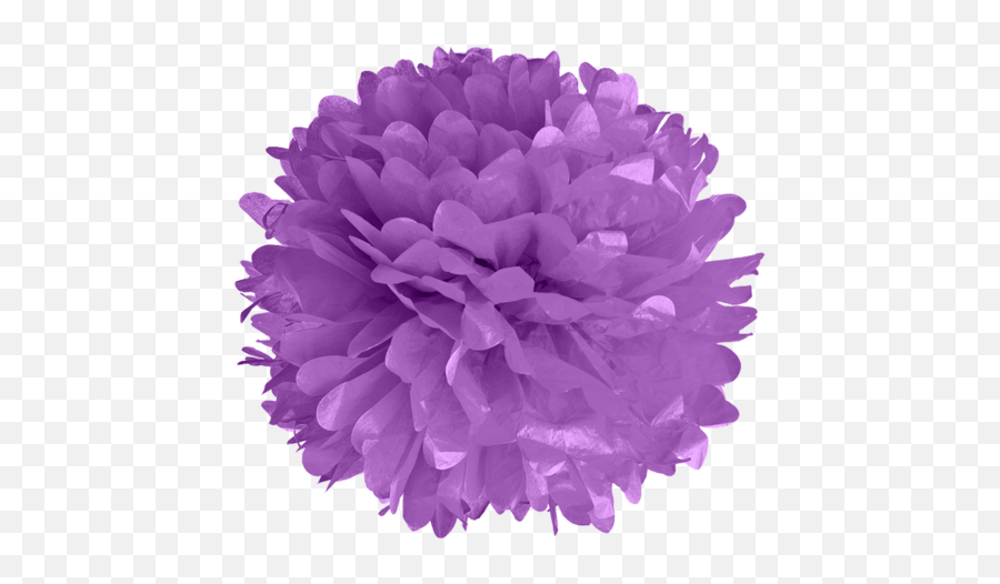 Black Tissue Pom Poms - Purple Pom Pom Transparent Emoji,Emotions Pom Pom Balls