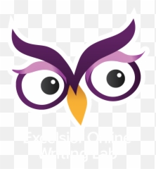 Internet Searching - Excelsior College Owl Excelsior Online Writing Lab Emoji,Hoot Owl Emojis