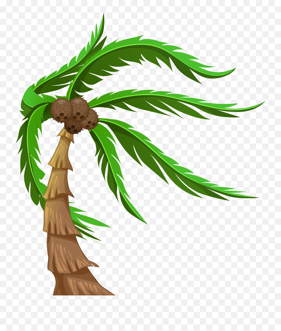 Palm With Coconuts Transparent Png Clip - Coconut Tree Gif Png Emoji,Coconut Tree Emoticon