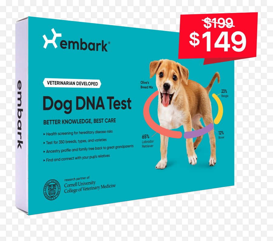 Embark Breed Health Kit - Dna Test For Dogs Emoji,Caucasian Mountain Shepherd Puppy Emoticon