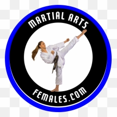 Martial Arts Females Forum U2013 The Forum For Female Martial Arts Emoji,Animated Karate Kick Girl Emoticon