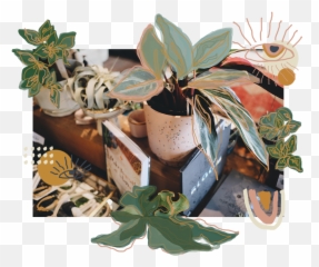 Root Adorned Emoji,Roots Of The World Emojis