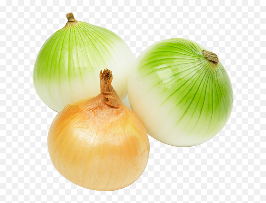 Seasonic Onions China Tradebuy China Direct From Seasonic Emoji,Beatroot Emoji