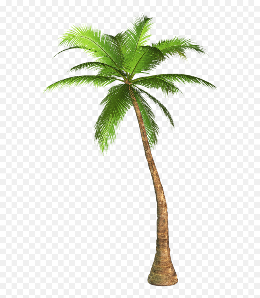 Arecaceae Tree Clip Art - Palm Tree Transparent Background Emoji,Palm Tree Emoji Png