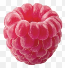 Trending - Wineberry Emoji,Rasberry Emoji