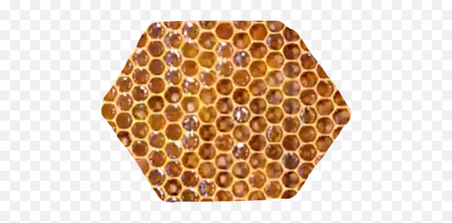 Honey Comb Honeycomb Bee Honeybee - Honeycomb Emoji,Honeycomb Emoji