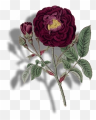 May - Garden Roses Emoji,Deworld Emoji Speaker