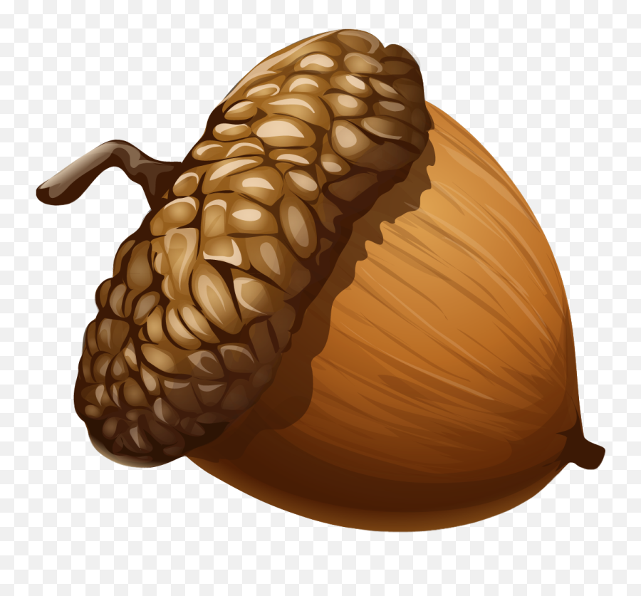 Ice Age Iceage Nut Nuts Sticker By Redano - Acorn Clipart Png Emoji,Peanut Emoji